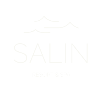 Salin Logo